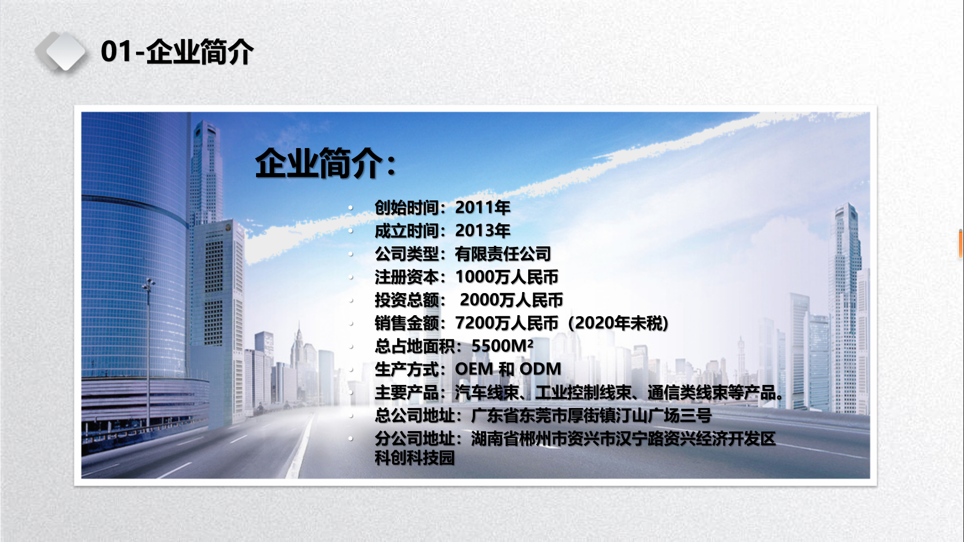 公司簡介